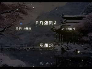 抖音热曲探索下的资源管理策略，深度剖析望断天涯的青石之谜