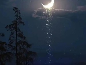 月光倾洒下 手机背景中编织的浪漫诗篇