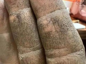 猫宅97，捡垃圾竟能解锁财富与乐趣？新奇玩法等你来探索！