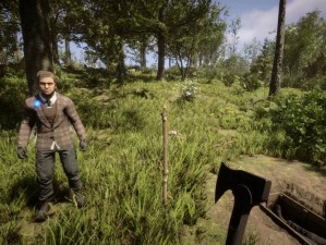 森林stem价格大揭秘！正版游戏多少钱？玩家必看攻略