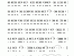 赤道晴空下的资源管理高效利用与价值最大化探索