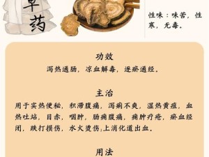 古代黄土地该种何物收益最高？探寻黄土田最佳农作物推荐