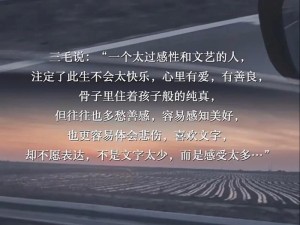 抖音热门旋律爱的回归线，重逢浪漫之歌揭秘