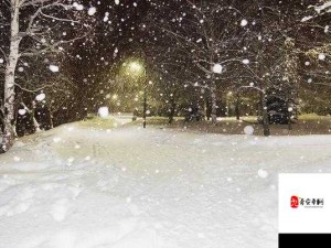 探寻雪落之声的源头 那首触动心灵的神秘歌曲