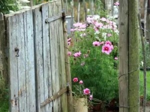 夏日家园装修绝绝子！这7套搭配太仙了别人必扒篱笆偷创意