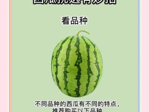 古代人生如何成为富豪瓜农？揭秘种西瓜赚钱的高效攻略！