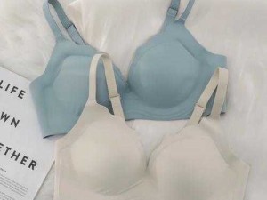 嗯脱我内衣吸我奶小内裤：禁忌的私密体验