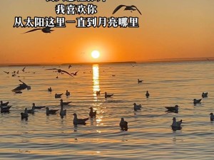 资源管理视角下解析抖音热曲，莫名我就喜欢你 深深的爱上你