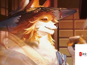 阴阳师百闻牌犬神强度及资源管理技巧深度剖析