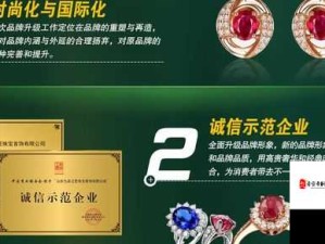 久产久精国九品：探寻其独特魅力与内涵