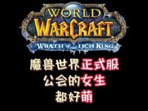 魔兽世界怀旧服新征途，从零起步 铸就公会不朽传奇