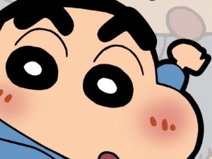 蜡笔小新高清全屏壁纸 资源管理高效利用 实现价值最大化