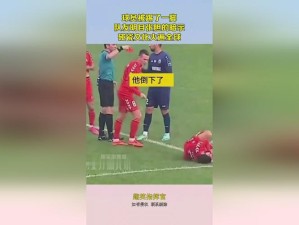 人与禽 ZoZ0 性伦 AV：揭秘背后的真相与争议