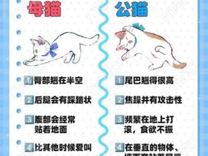 伊洛纳银猫捕捉全攻略 探寻银猫神秘出没的绝佳地点