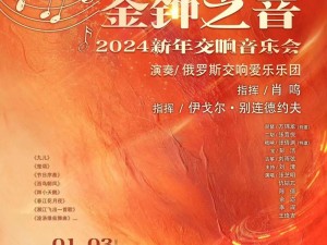 抖音热门歌曲揭秘，那场音乐会烟花背后的资源管理奥秘与价值