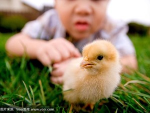 黄河终极归宿探秘，渤海之谜揭晓