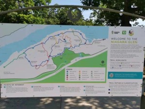 闭眼拿冠军！果汁瀑布跑酷路线速成指南