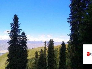 欧美牧场 ZZZZ0000 性受背后的神秘故事