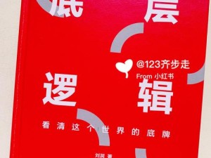 侦探大作战第二章日记1攻略揭秘，底层逻辑与操作映射如何全掌握？