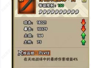 忍具强化之道，揭秘符石外必备材料及高效管理策略