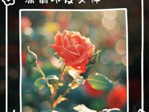 青丝泛白背后的深情，相爱为何终成不理睬之谜