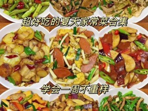 【我的侠客菜肴食谱分享】超实用家常菜谱推荐，厨艺小白也能轻松驾驭！