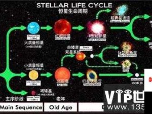 榨汁精灵的繁衍奥秘：探寻其背后不为人知的秘密与神奇之处