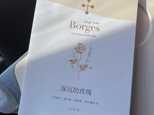 我能原谅你的荒唐，歌曲深度剖析与价值实现探索