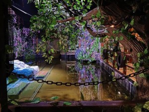 神秘海洋生物Mermaid真的存在吗？揭开古老传说背后的科学真相！