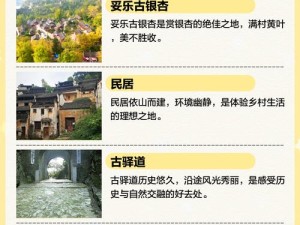 绝美银杏村&山谷位置大揭秘！这份攻略让你打卡不用愁！