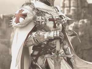 战歌竞技场深度解析，圣殿骑士图鉴与资源管理精妙艺术