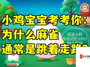 小鸡宝宝问答，江西省简称及游戏资源管理深度探索