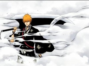 阴阳师中黑崎一护面板深度解析及资源管理技巧