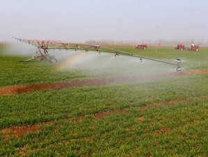 水田种植何种作物收益最优？未来水田种植技术将如何革新？