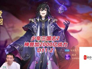 少年三国志2秘境寻宝攻略，资源管理高效技巧及价值最大化