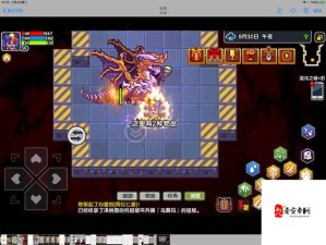 伊洛纳流浪汉施舍策略，游戏资源管理深度剖析