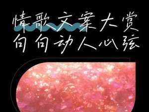 用一生一世一期一会相遇 探寻那首动人情歌