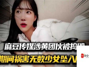 www 成人 18 美女网站麻豆：视觉与情感的双重盛宴