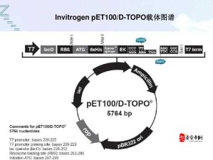 伊洛纳废石料丰富地点揭秘及其在资源管理中的关键性与高效利用法