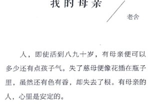 盐之味：母亲的烹饪智慧与家庭情感盐母 1：家的味道，母亲的爱盐母 2：厨房的故事，母亲的情盐母 3：烹饪的艺术，母亲的传承盐母 4：餐桌上的回忆，母亲的温暖盐母 5：美食与家庭，母亲的纽带盐母 6：母爱与味道，永恒的记忆