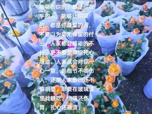 抖音热门歌曲还是爱你还是忘不了你情感深度剖析与管理策略