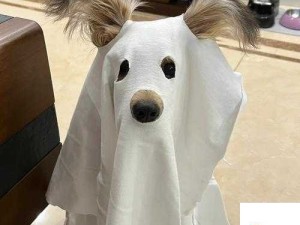 谢谢你光顾我的小怪物歌曲背后的资源管理与游戏应用探索