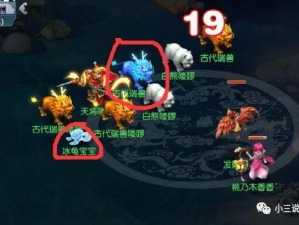 梦幻西游三维版，全面剖析瑞兽技能奥秘