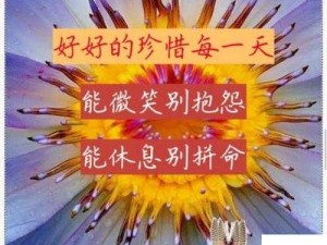 男女在一起愁愁愁很痛却不知如何解脱