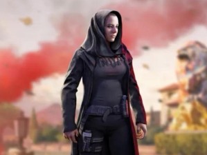 奥拉星手游艾斯角色解析，资源管理核心与优化策略探讨