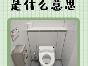 抖音厕所所长梗探析，网络文化中的资源管理智慧