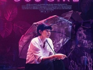 BBOX撕裂BASS孕妇公交车好莱坞：一场震撼人心的音乐与视觉盛宴，带你感受独特街头文化魅力