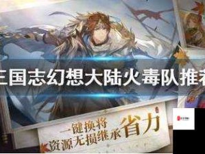 三国志幻想大陆火毒新阵容揭秘，资源管理策略大赏