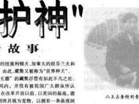 中国人 XXXXXXXX68：一段跨越时空的传奇故事