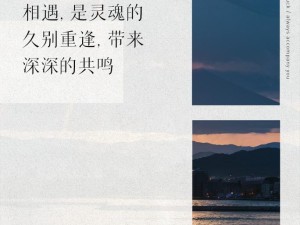 心碎如刀割 揭秘六十六把刀中蕴含的深刻情感共鸣